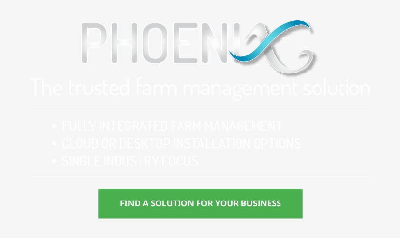 Find A Solution For Your Business - Graphic Design, transparent png #9341271