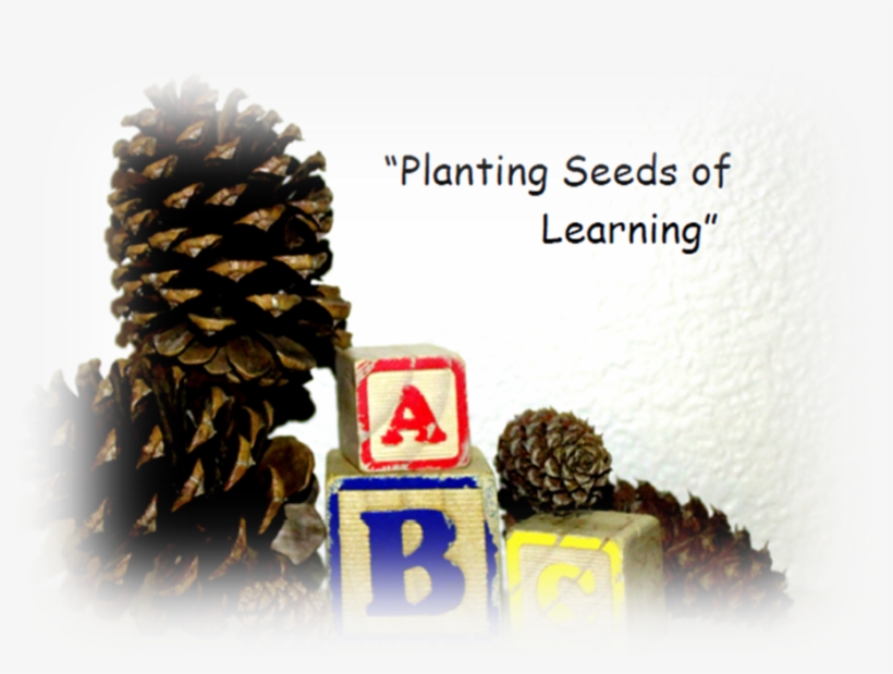 Alternate Pineconelogo - Two Needle Pinyon Pine, transparent png #9342903