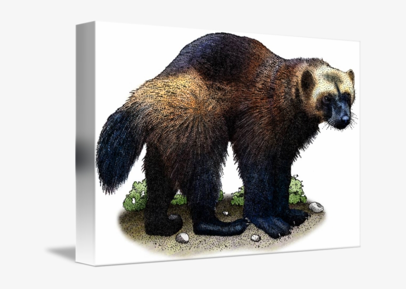 By Roger Hall - Blanket, transparent png #9343042