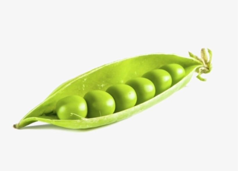 Pea Png Background Image - Vegetable Png, transparent png #9343097