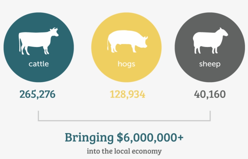 The Brief, Exciting Life Of Niles City - Sheep, transparent png #9343741