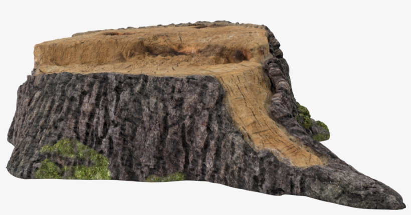 Luxury Homes And Distinctive Properties For Sale - Tree Stump, transparent png #9344056