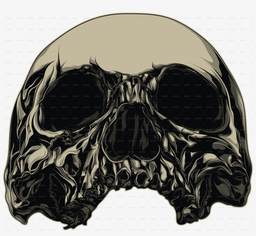 Skull Vector - Art, transparent png #9344868