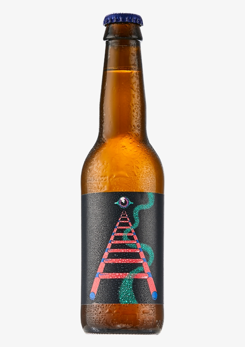 Beer Bottle, transparent png #9345324