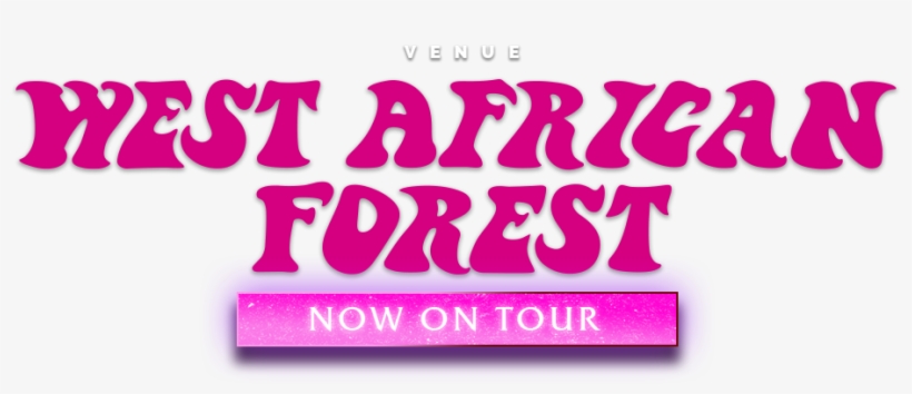 West African Forest - Art, transparent png #9345884