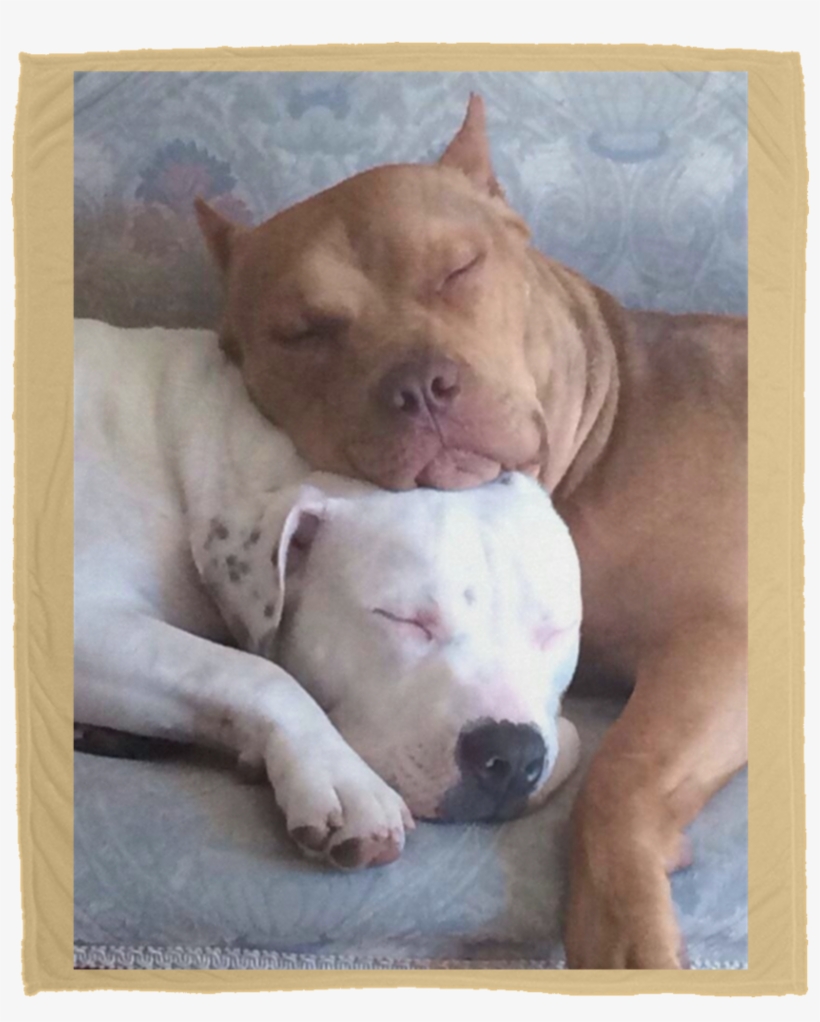 Pitty Luv Large Velveteen Micro Fleece Blanket - Puppy, transparent png #9345928