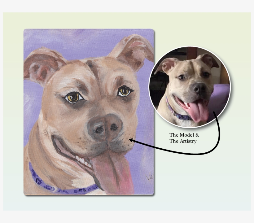 Violet Pitbull - American Pit Bull Terrier, transparent png #9345987