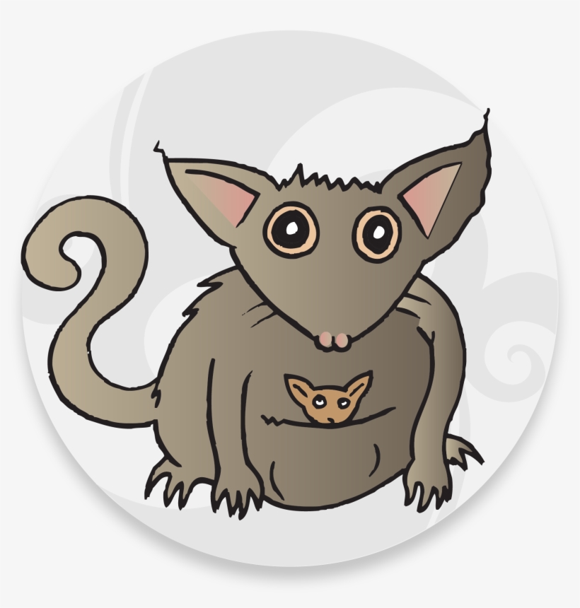 Ka3 Flashcard Animals 13 - Rat, transparent png #9346411