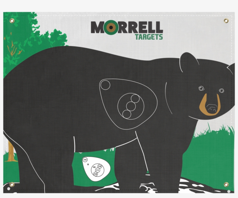 Share With Friends - Bear Archery Target, transparent png #9347493