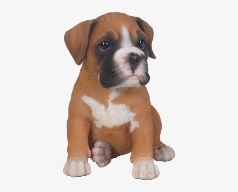 Puppy Clipart Boxer Puppy - Boxer Dog Puppy Png, transparent png #9347776