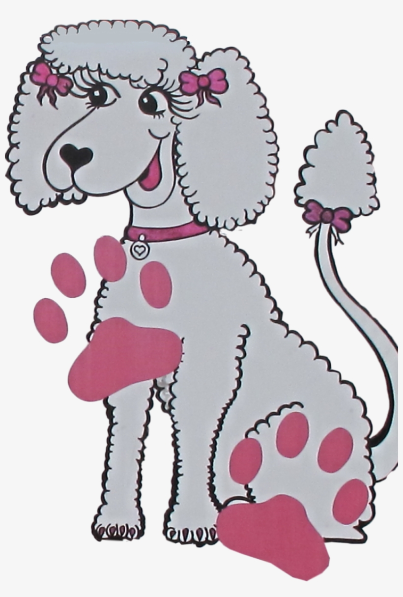 1000 X 1433 2 - Standard Poodle, transparent png #9347914