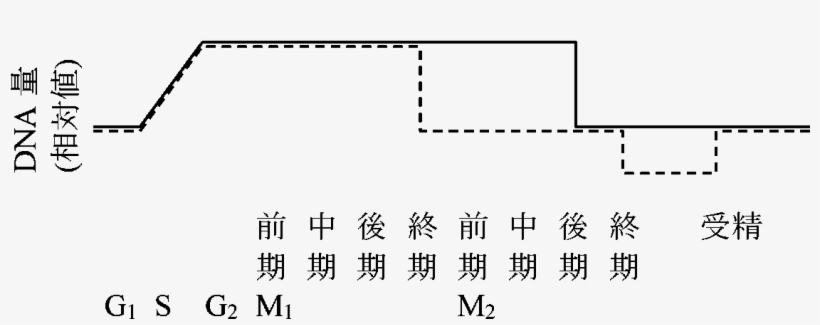 Division 01b - Number, transparent png #9347962