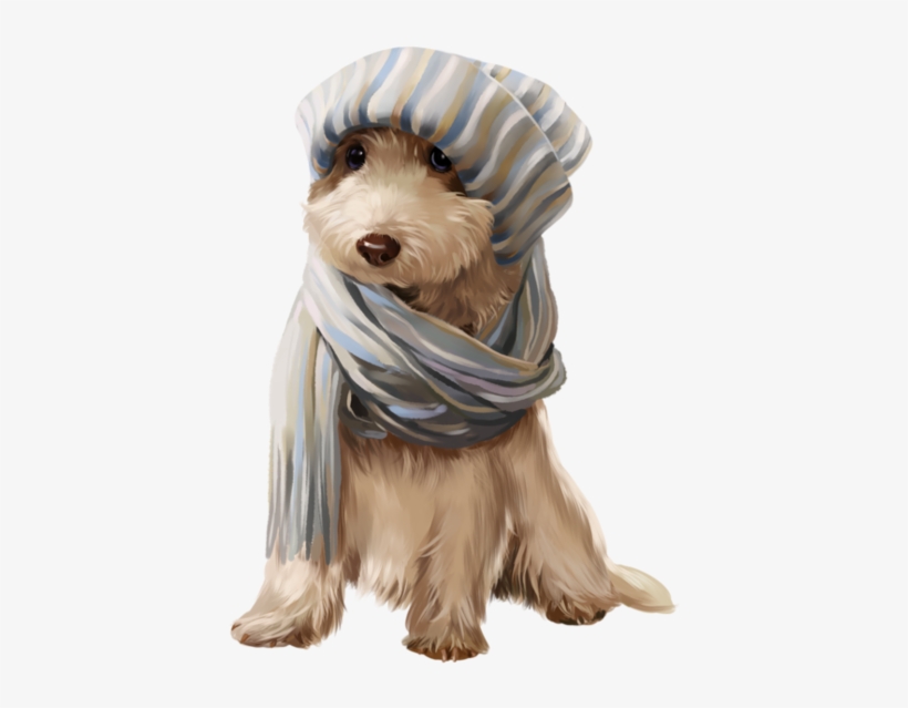 Clip Art - Afghan Hound, transparent png #9348013