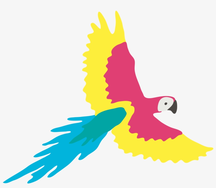 Macaw, transparent png #9349224