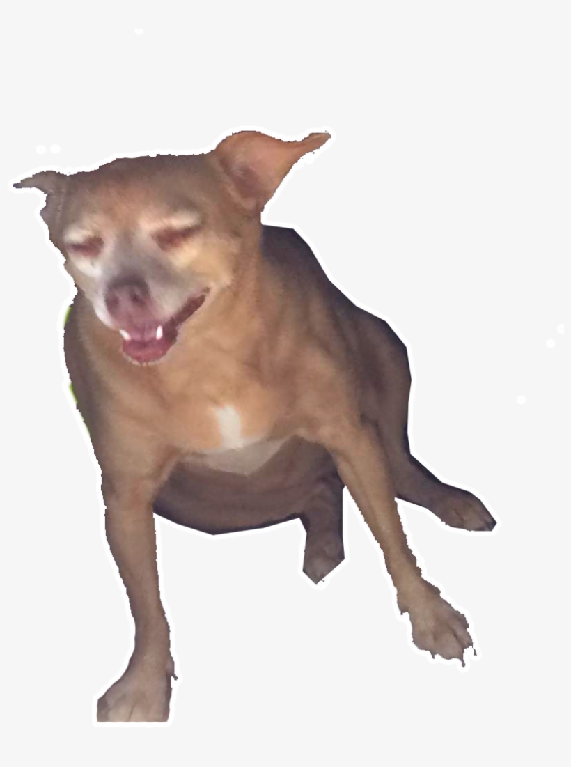 Laughing Doggo - Dog Yawns, transparent png #9350005