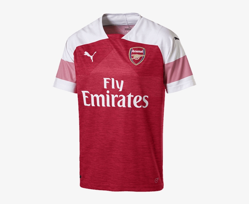 Arsenal Fc Adults Home Jersey 2018/19 - Arsenal Jersey 2018 2019, transparent png #9350738
