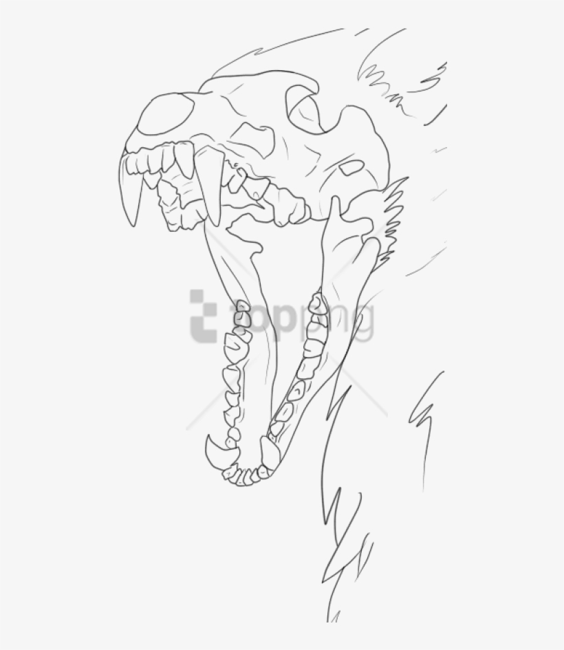 Free Png Wolf Skull Drawing Base Png Image With Transparent - Wolf Skull Drawing, transparent png #9353421