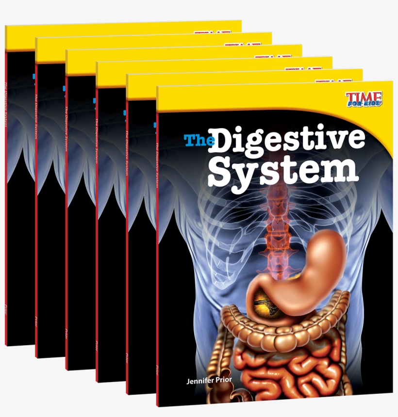 Kids Digestive System, transparent png #9354393