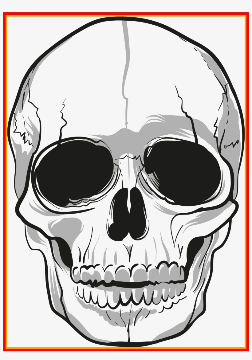 Free Stock Best Png Transparent Only For Popular And - Skull Png, transparent png #9355343