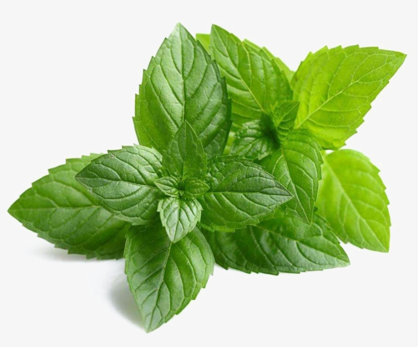 Mint Png Images Hd - Neem Extract, transparent png #9355455