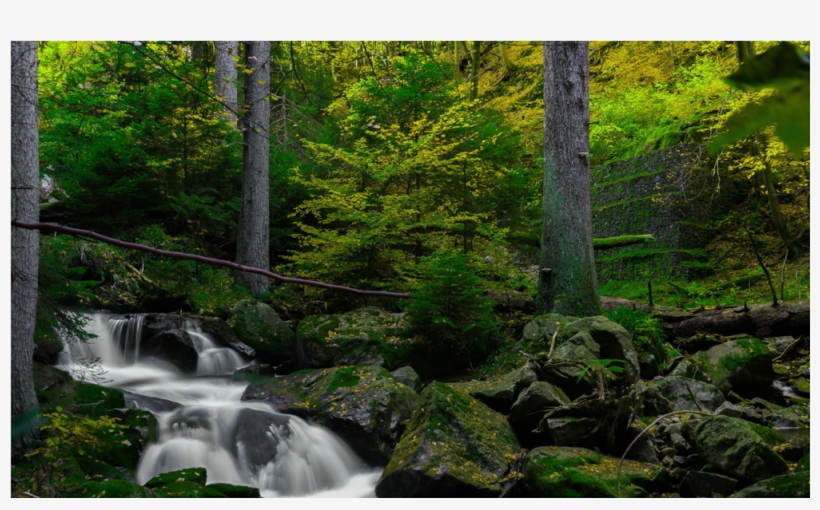 Score 50% - Wallpaper, transparent png #9356463