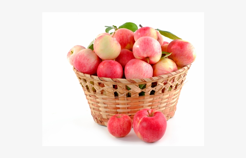 Manzanas - Fruit Is Never Found Singly Answer, transparent png #9358468