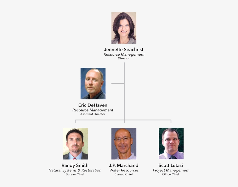 District Organization - Lace Wig, transparent png #9359237