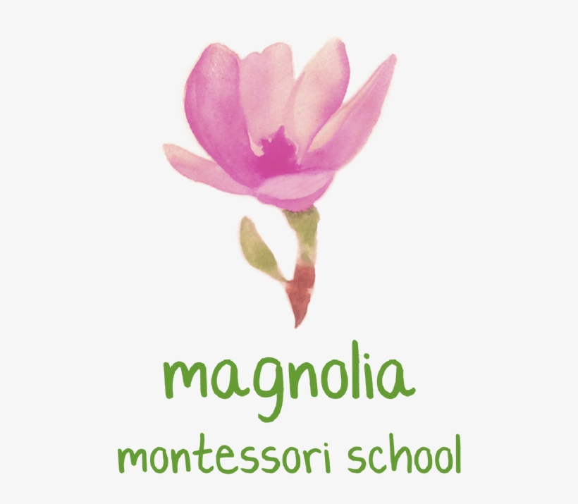 Magnolia Png, transparent png #9360042