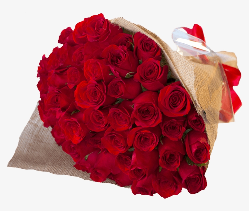Categorias - Románticosrosas - Floristeria Tijuana, transparent png #9362236
