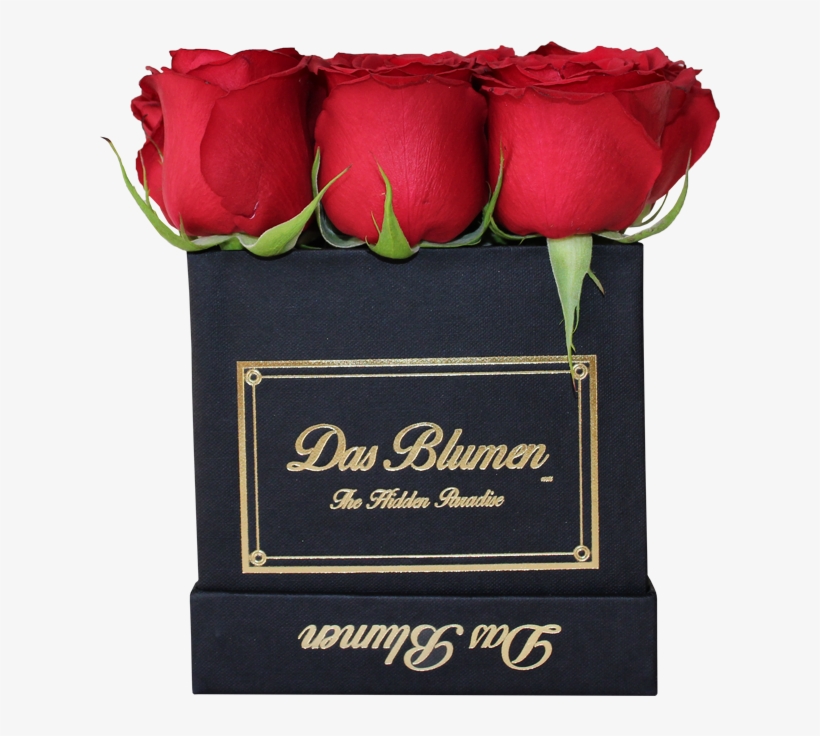 Estuche Cúbico Mini Con Rosas Naturales - Garden Roses, transparent png #9362241
