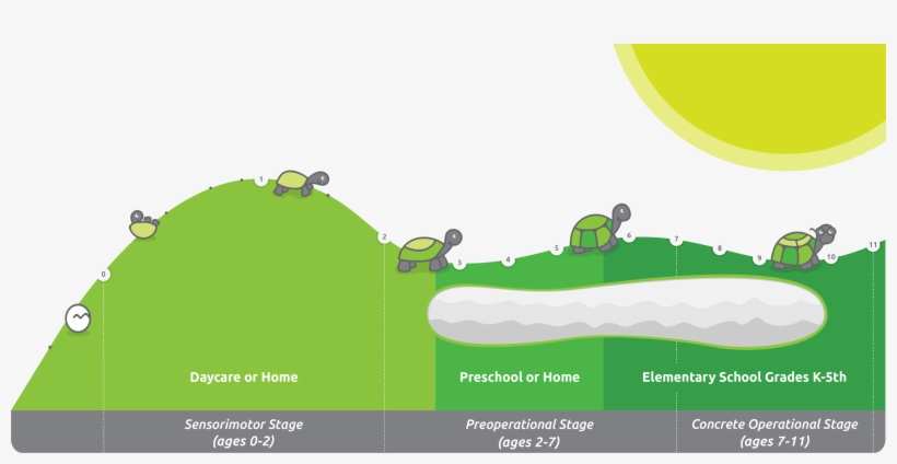 6 Month Gestation - Illustration, transparent png #9362328