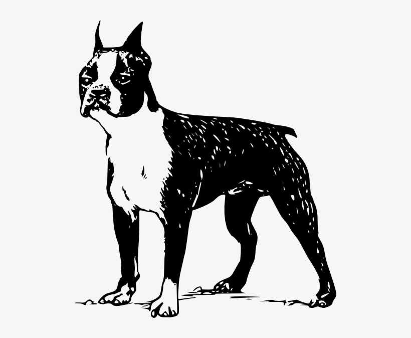 Boston Terrier Silhouette Vector, transparent png #9363611