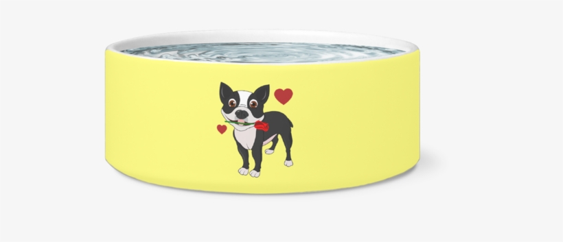 Boston Terrier, transparent png #9363651