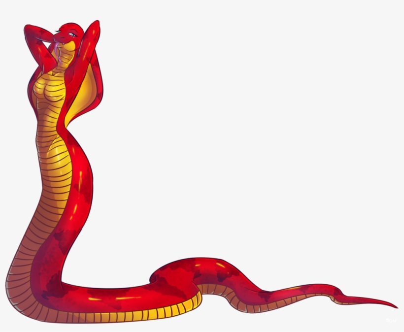1016 X 786 4 - Snake, transparent png #9364103