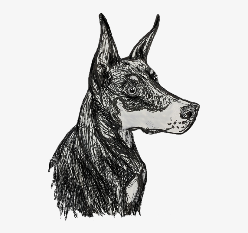 Bleed Area May Not Be Visible - Dobermann, transparent png #9365084