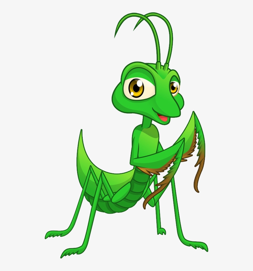 Grasshopper Clipart Png Png, transparent png #9366839