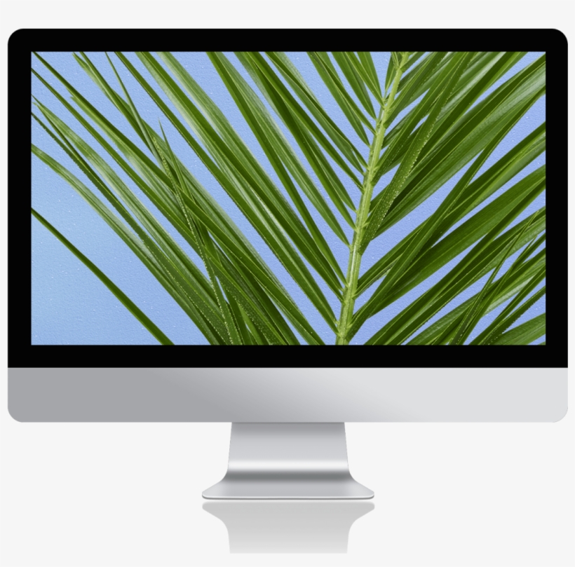 Thanks To Wavy, Attract New Clients In Your Hair Salon - Computer Monitor, transparent png #9367600