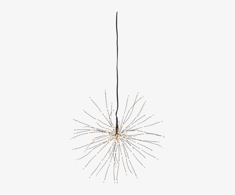 Pond Pine, transparent png #9368204