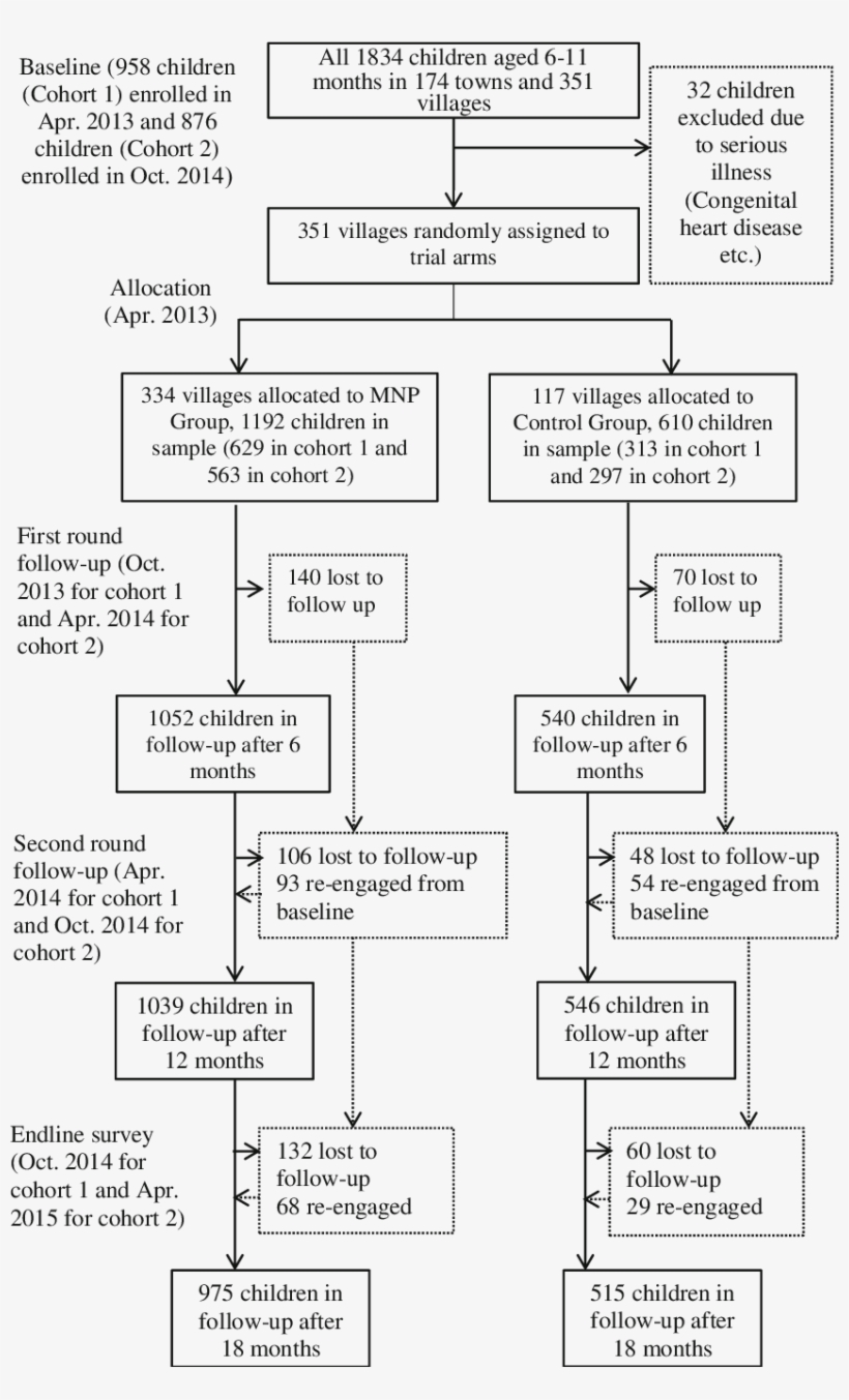 Mnp = Micronutrient Powder - Diagram, transparent png #9368817