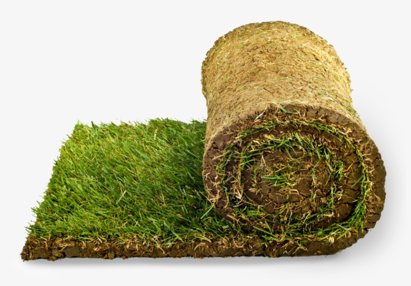 Grama Png - Sod Png, transparent png #9370538