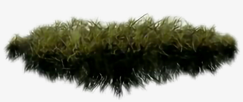 Grama Sticker - Fodder, transparent png #9370611