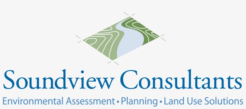 How Can This Be A Wetland When There Is No Water Here - Dm Solutions, transparent png #9371018