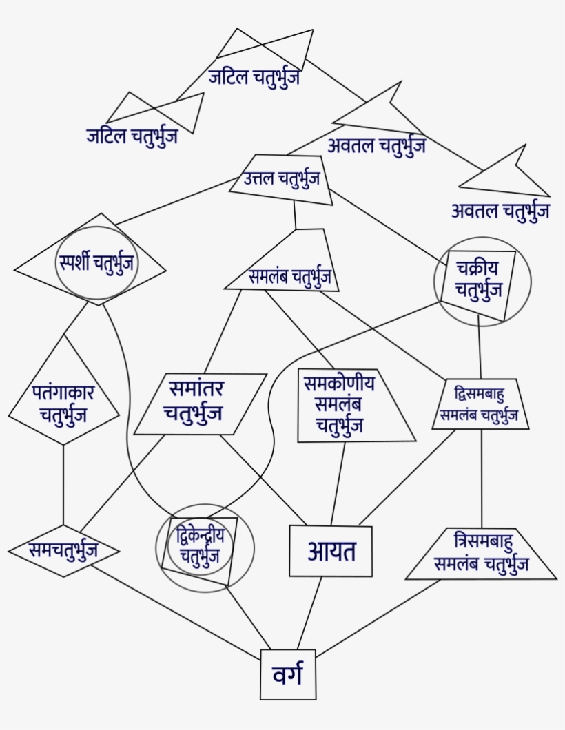Quadrilateral Hierarchy Hi Png - Diagram, transparent png #9372292