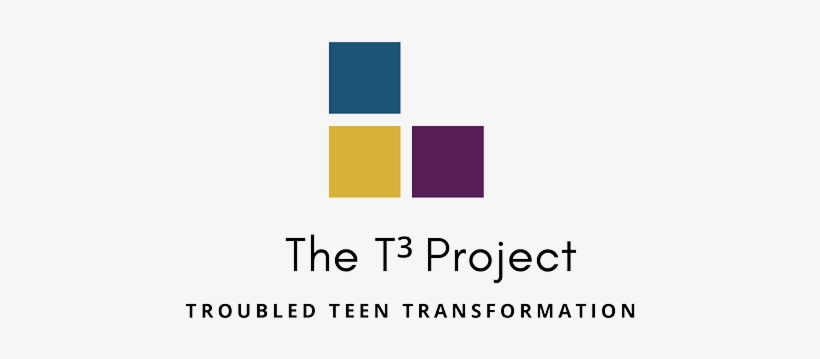 The Troubled Teen Transformation Project - Flag, transparent png #9372620