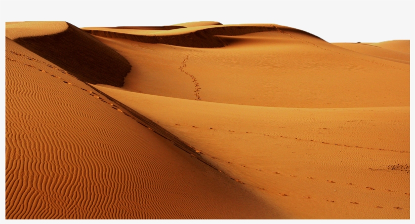 Sahara Desert No Background, transparent png #9373678