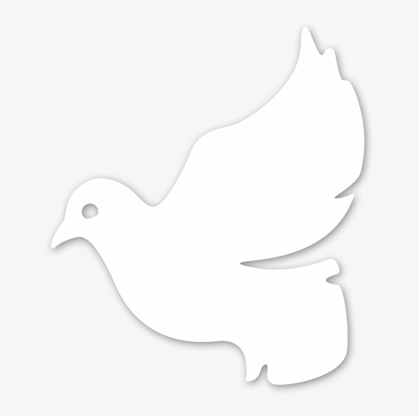 Pigeons And Doves, transparent png #9373881