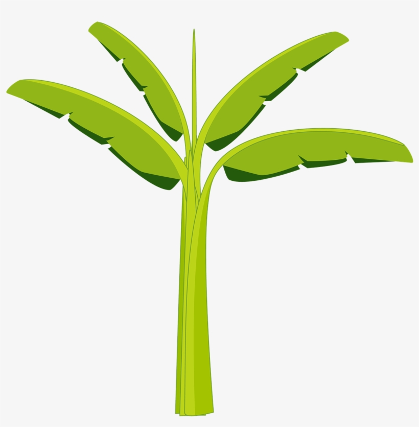 Banana Tree Banana Tree - Gambar Animasi Daun Pisang, transparent png #9374636