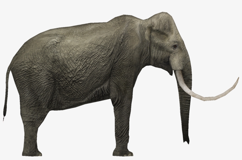 And On Top Of That, Here's A Quick Mesh I Slapped Together, transparent png #9375235