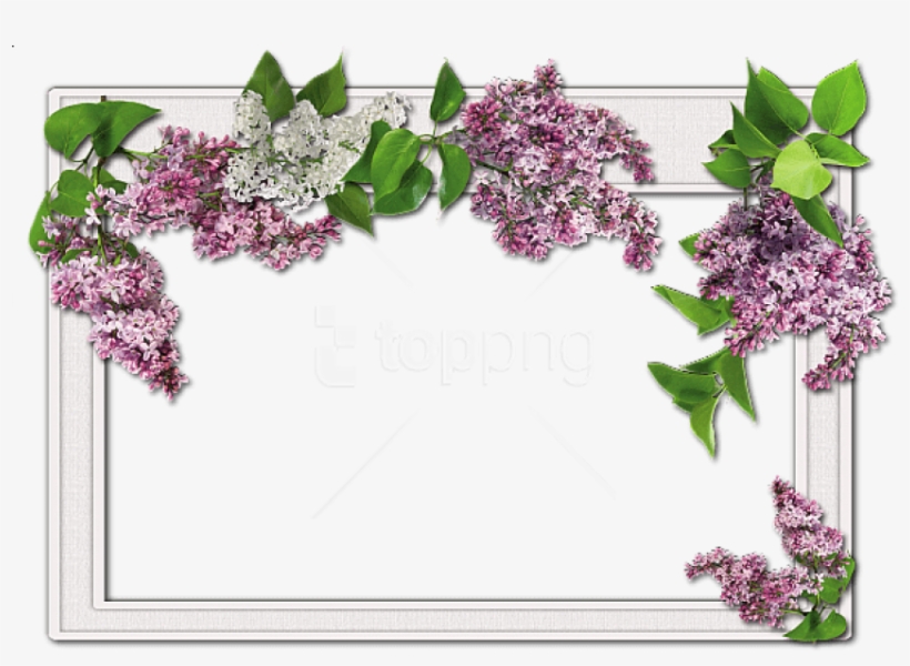 Free Png Best Stock Photos Flowers Frame Background - Wedding Frames For Photoshop, transparent png #9375844