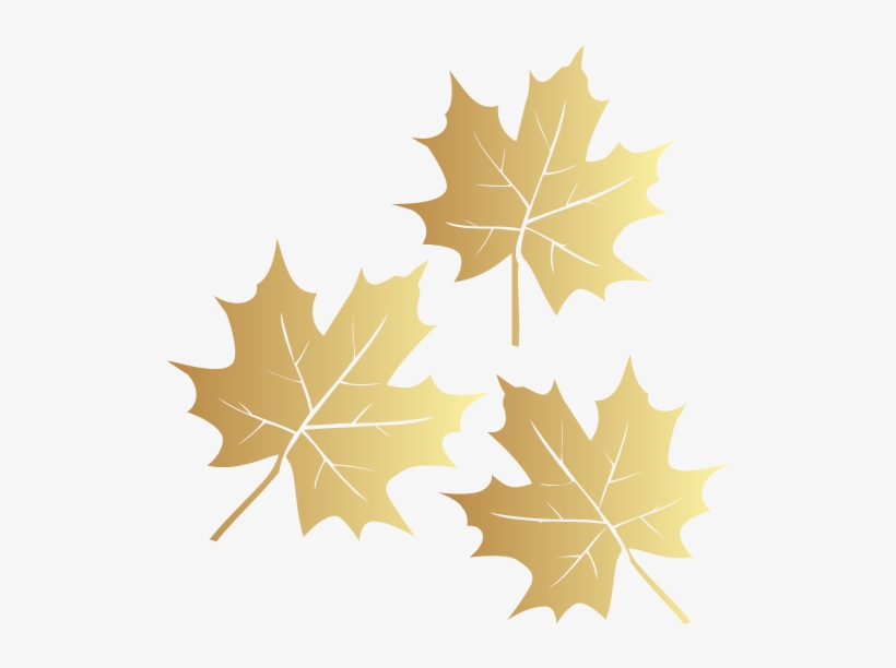 For More Information About Our Services And Upcoming - Maple Leaf, transparent png #9376027